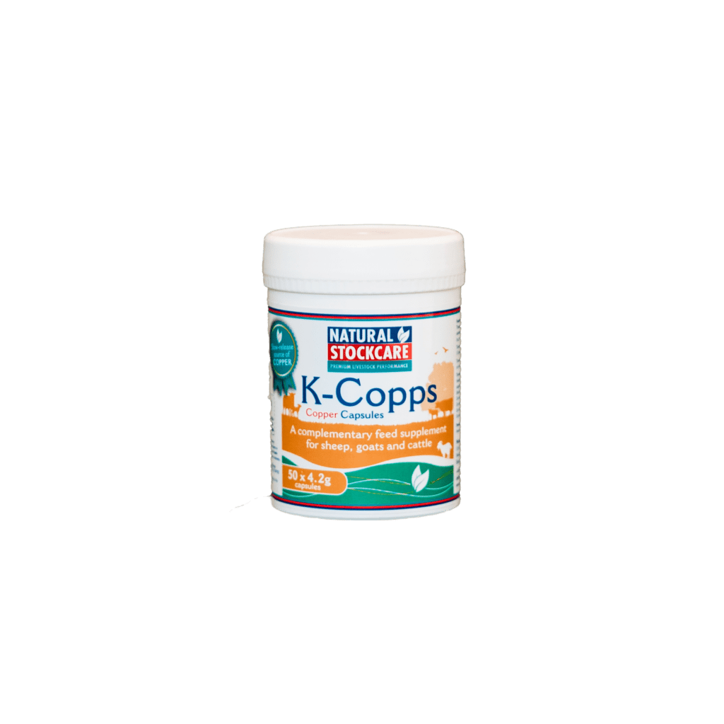 Products Natural Stockcare Livestock Nutrition Supplements