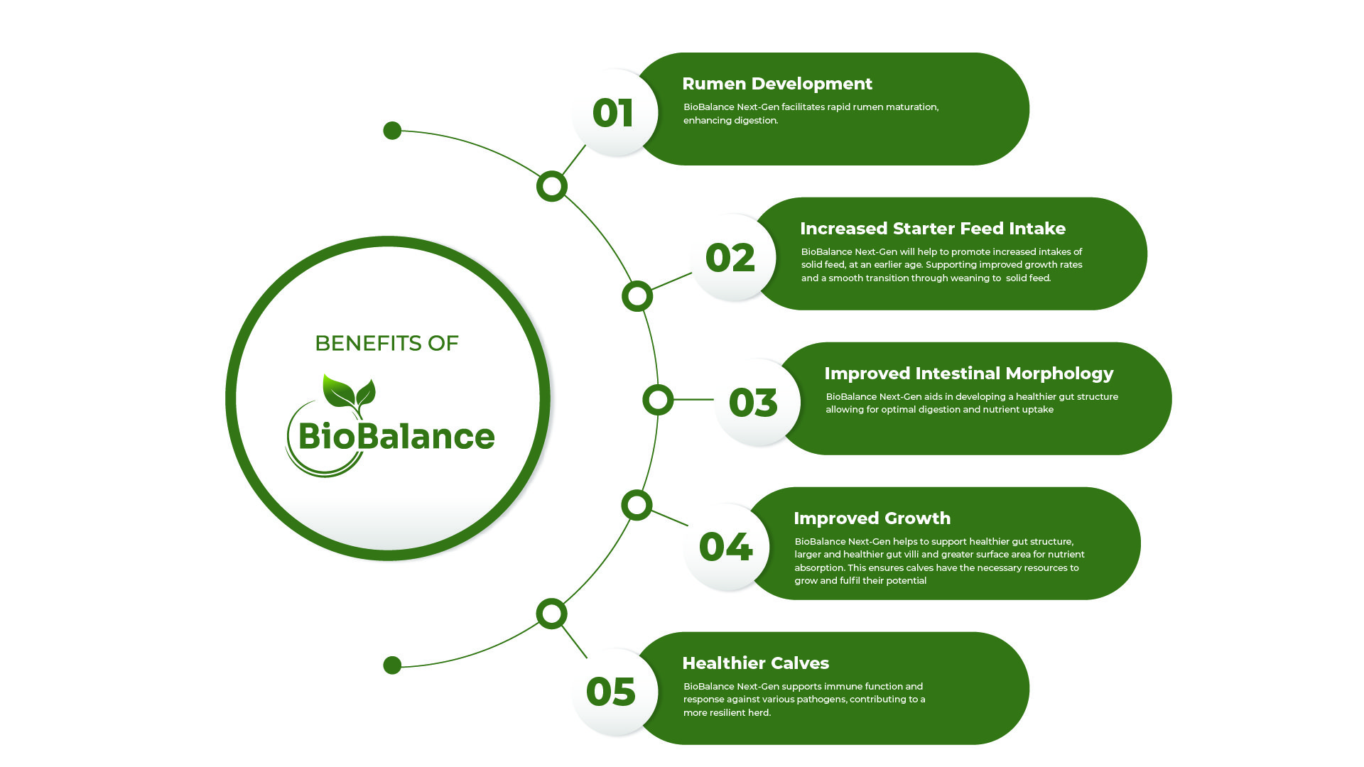5-BioBalance-Benefits Infographic